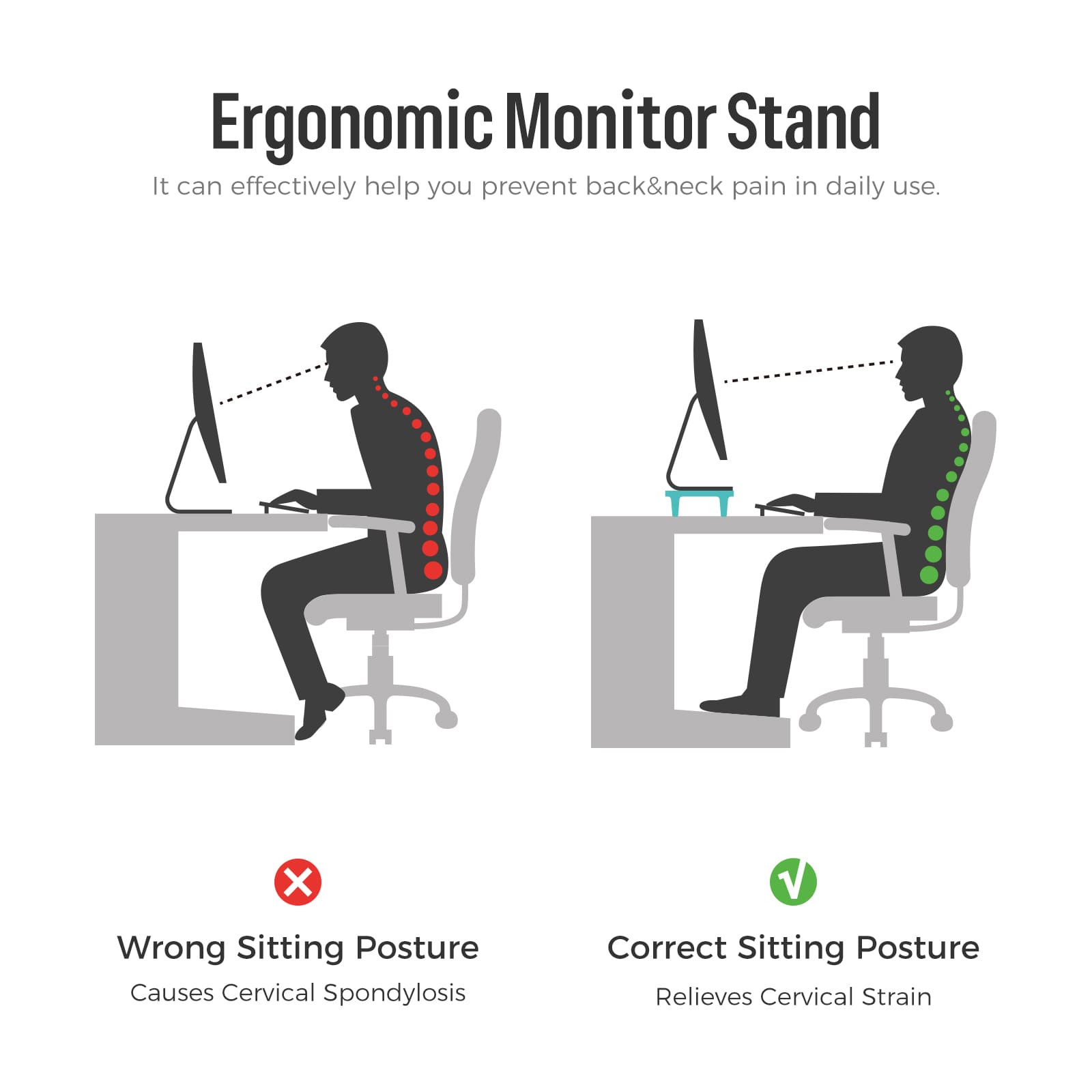 Monitor Stand Riser/Dual